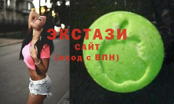 ECSTASY Богородицк