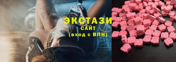 ECSTASY Богородицк