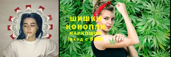 ECSTASY Богородицк